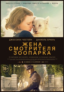 Medium_569071
