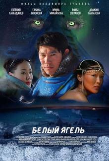 Medium_419042