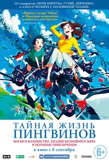 Medium_11783_big