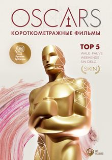 Medium_48808