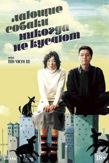 Medium_layuschie_sobaki_nikogda_ne_kusayut