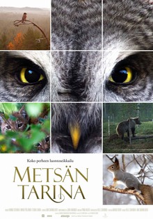 Medium_664849