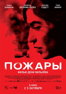 Large_429__1_