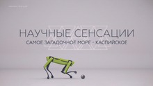 Medium_bez_imeni-1