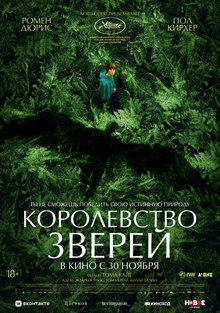 Medium_20646