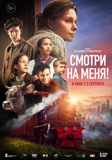 Medium_21504