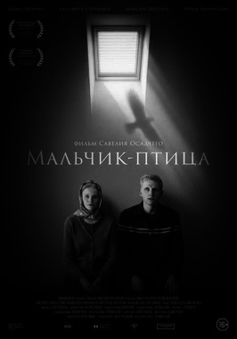 Мальчик-птица