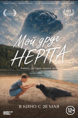 Мой друг нерпа (ПУШКИНСКАЯ КАРТА)