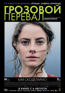 Medium_25654
