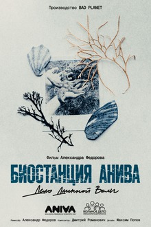 Medium_25868__1_