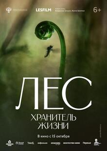 Medium_24284