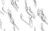 Thumb_synhronnost_02