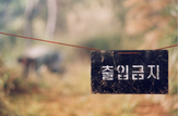 Thumb_53874