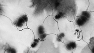 Thumb_inside_me_1