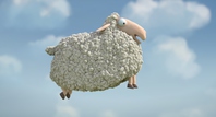 Thumb_oh_sheep_1
