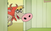 Thumb_tridtsat_tri_korovy3