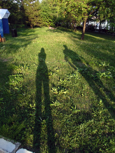 Preview_dsc02850