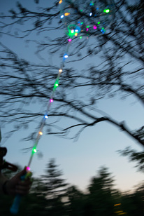 Preview_dsc_3178