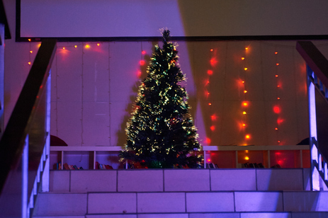 Preview_dsc_6772